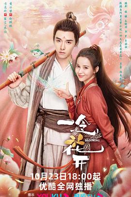 鲤城seo优化机构